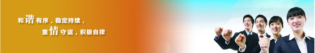 青海盛鸿矿业有限公司