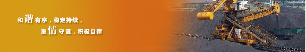 青海盛鸿矿业有限公司